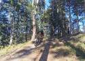 Górskie trasy rowerowe MTB powstały w Czarnorzekach. To pierwsze takie trasy w lasach Podkarpacia [ZDJĘCIA]