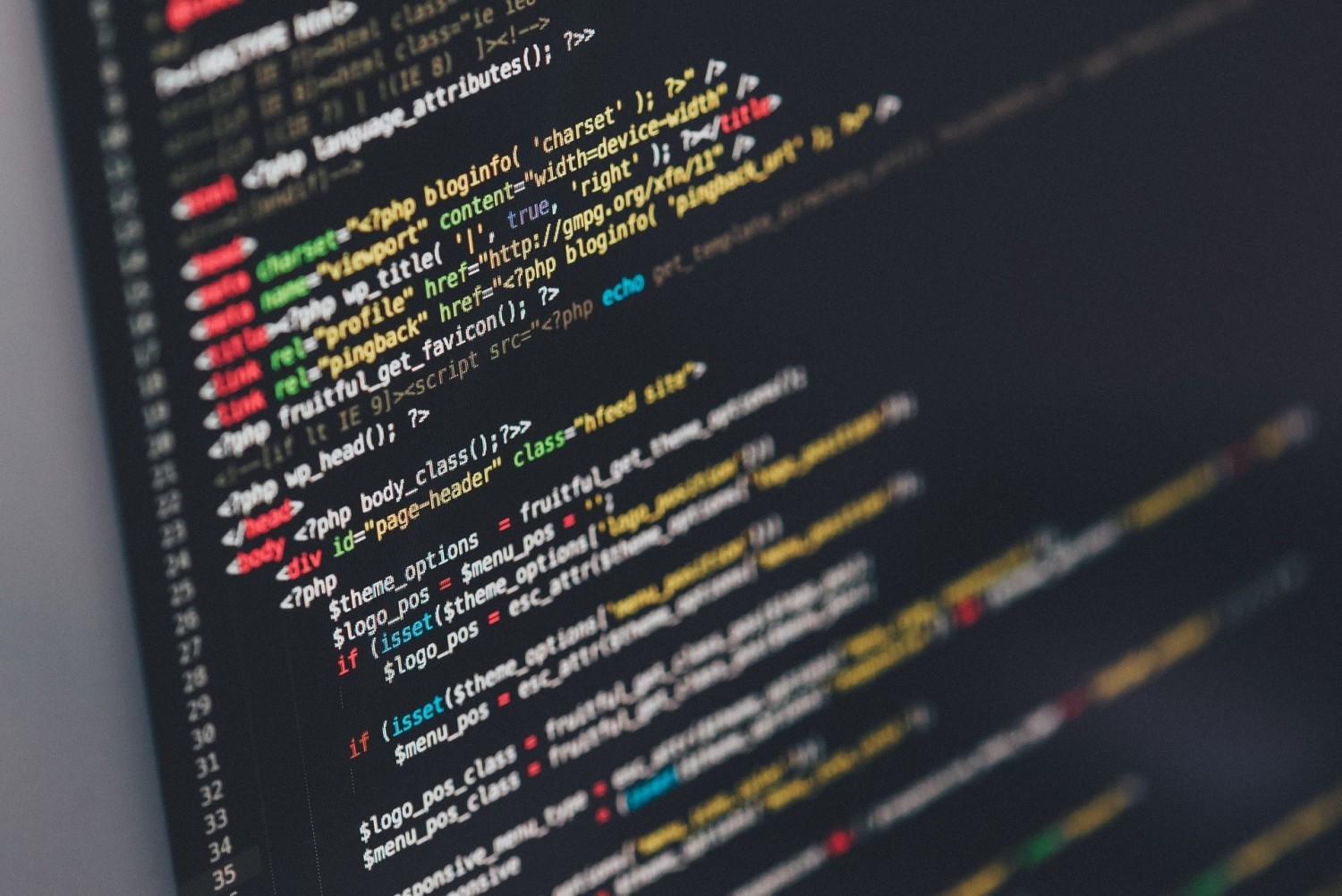 Senior net developer - umowa o pracę