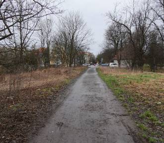 Kto wybuduje nową drogę przy Parku Miejskim w Legnicy? Złożono cztery oferty