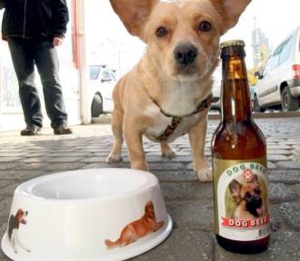 Kup piwo dla zwierzaka. W tych lokalach wypijesz piwo, wspomagając zwierzęta