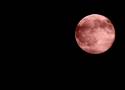 Truskawkowy księżyc 2022. Wyjątkowy księżyc pojawi się nad Pleszewem. Dziś w nocy warto obserwować niebo. [14.06.2022]