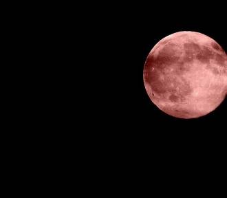 Wyjątkowy księżyc pojawi się nad Pleszewem. Dziś w nocy warto obserwować niebo