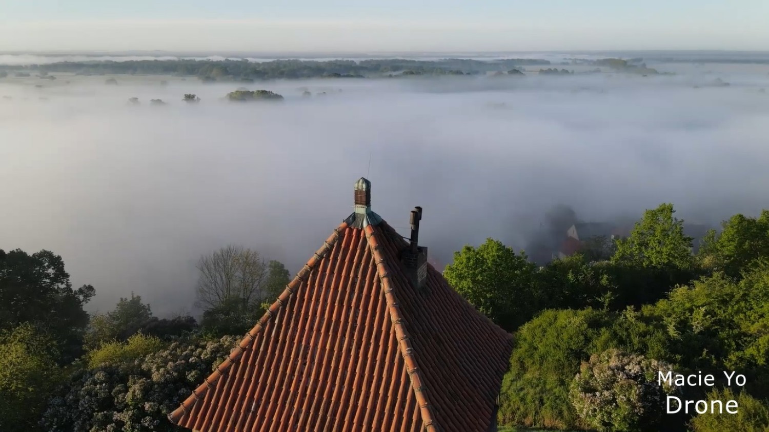 Te zdjęcia wyglądają jak kadry z baśni