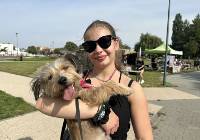 Piknik adoptowanych psów zorganizowało schronisko OTOZ Animals 