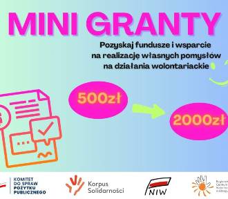 Regionalne Centrum Wolontariatu w Elblągu ogłasza konkurs