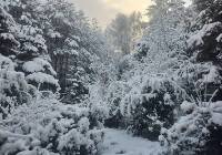 Zima w obiektywie naszych Czytelników! Śnieżny listopad od Gdańska po Słupsk