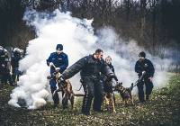 Szkolenie psów służących w garnizonie łódzkiej policji ZDJĘCIA