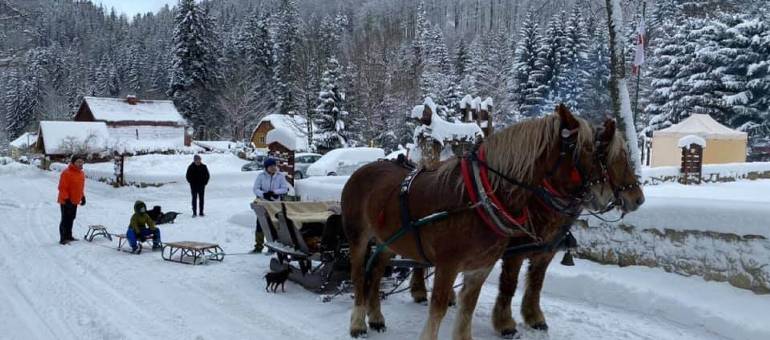 Zdjęcie artykułu z dnia 24-01-2026