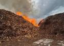 Pożar składowiska biomasy w powiecie konińskim. Strażacy od rana walczyli z ogniem 