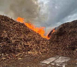 Pożar składowiska biomasy w powiecie konińskim. Strażacy od rana walczyli z ogniem 