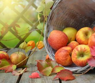 Owoce od rolnika. Ile kosztują owoce sezonowe takie jak jabłka, gruszki i i śliwy?