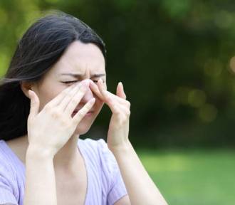 Alergicy nie mają łatwo. Sosna i inne pyłki dają Ślązakom w kość