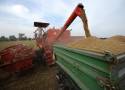 Polska wprowadziła zakaz importu z Ukrainy czterech zbóż