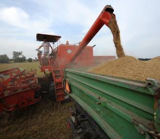 Polska wprowadziła zakaz importu z Ukrainy czterech zbóż