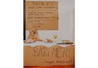 Nie dla kota mleko i czekolada! Behawiorystka stworzyła książkę kucharską „dla kotów”