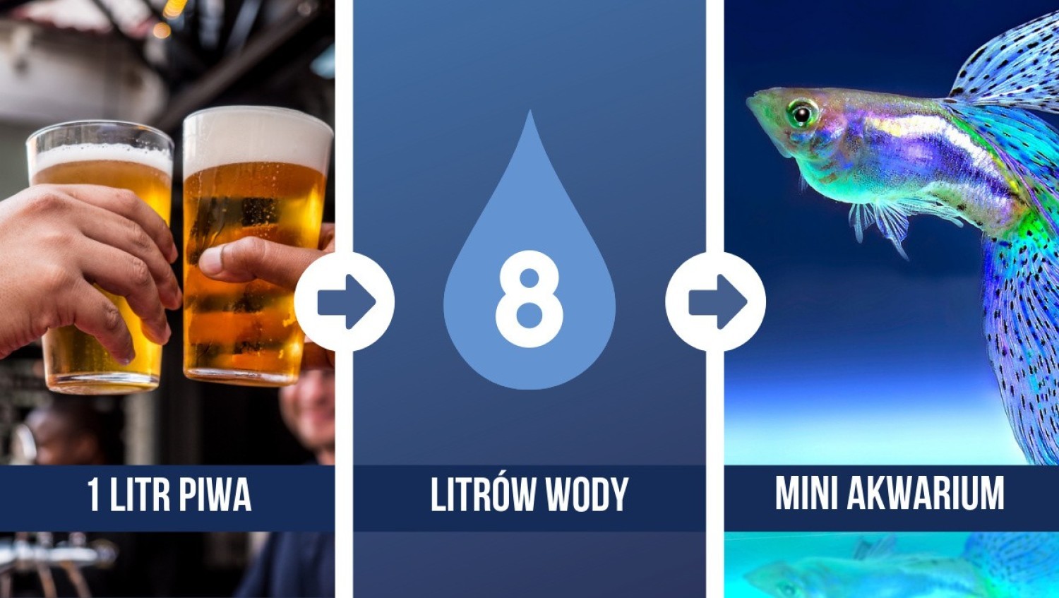 Wyprodukowanie 1 litra piwa pochłania 8 litrów wody