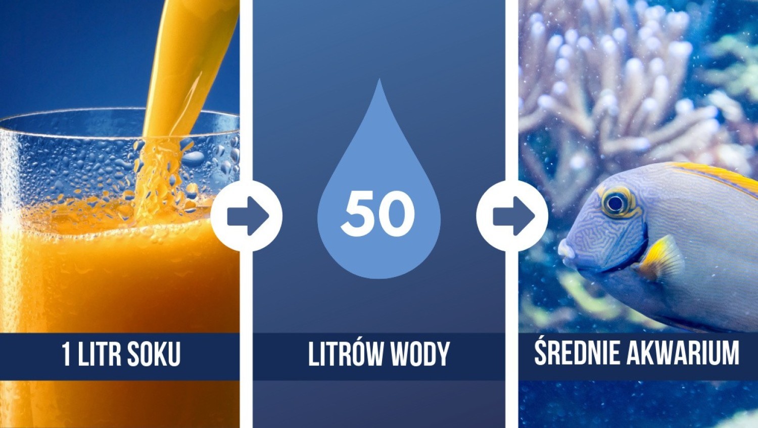 Wyprodukowanie 1 litra soku pomarańczowego pochłania 50 litrów wody