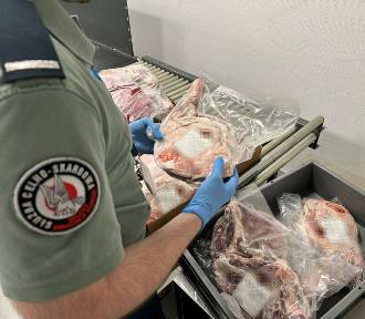 Walizki pełne przemycanego, mrożonego mięsa na lotnisku w Jasionce 