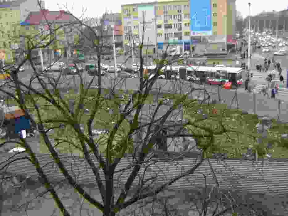 Panorama skrawka centrum Szczecina