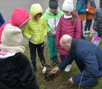 W Bobrku dzieci posadziły drzewa i porozmawiały o ekologii. ZDJĘCIA