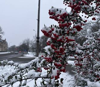 W Głogowie posypało śniegiem. Miasto pod białą kołderką wygląda pięknie. FOTO, FILM