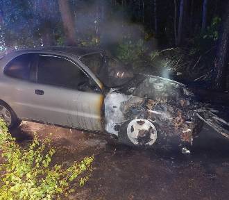 Nocny pożar we Wronkach. Płonęło auto oraz las