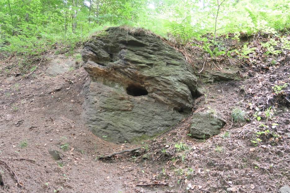 Niesamowity portal w lesie na Dolnym Śląsku! To dawna sztolnia Ernestine - rówieśniczka Lisiej Sztolni - jak ją znaleźć? Zdjęcia