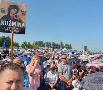 Mieszkańcy Przemyśla, Medyki, Kuźminy i innych na beatyfikacji rodziny Ulmów [FOTO]