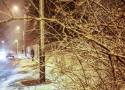 Na Podkarpacie wraca zima. Meteorolodzy ostrzegają przed intensywnymi opadami śniegu
