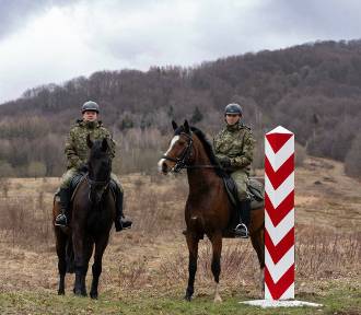 Ogólnopolski Dzień Koni. Wierzchowce pomagają ochraniać granicę na Podkarpaciu