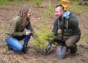 Pracownicy Ośrodka Kultury Leśnej w Gołuchowie posadzili ponad 700 drzew w parku-arboretum