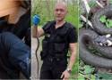 Nietypowe interwencje Straży Miejskiej w Tarnowie. Funkcjonariusze ruszyli na pomoc psu, a także ratowali mieszkańców przed… wężem