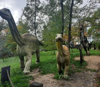Weekend z dinozaurami, czyli rodzinna wycieczka do Parku Zaurolandia w Rogowie