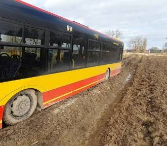 Nietypowe zdarzenie z udziałem autobusu pod Wrocławiem. Kierowca wjechał... na pole