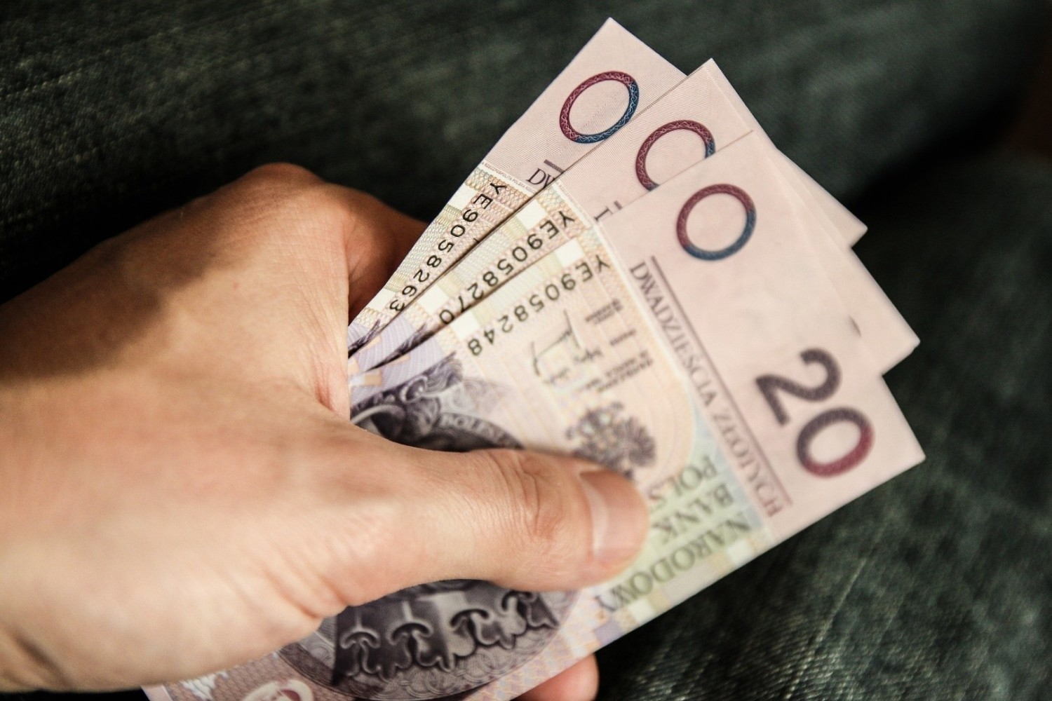 W jakich branżach i na jakich stanowiskach możesz liczyć na najwyższe zarobki w 2021 roku? Którzy pracownicy przebierają w ofertach pracy?Oto „Przegląd wynagrodzeń Polska 2021”
