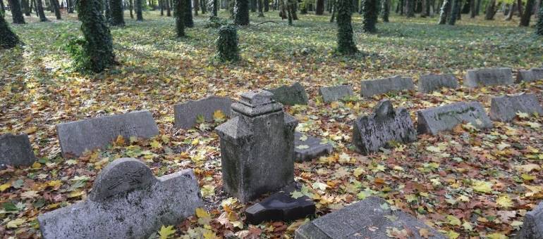 Zdjęcie artykułu z dnia 17-04-2026