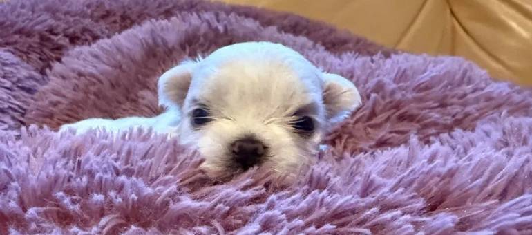 Zdjęcie artykułu z dnia 17-11-2025