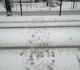 Intensywne opady śniegu w Krakowie. Torowiska tramwajowe były zasypane!