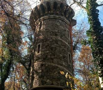 Najstarsza wieża widokowa w Polsce ukryta w lesie koło Wrocławia popada w ruinę