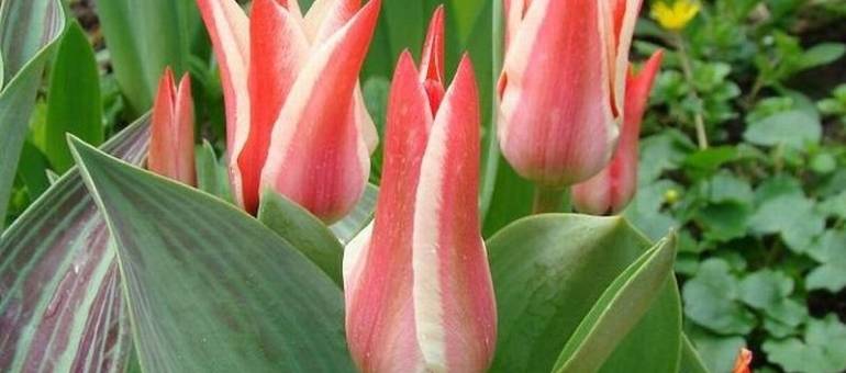 Zdjęcie artykułu z dnia 04-12-2025