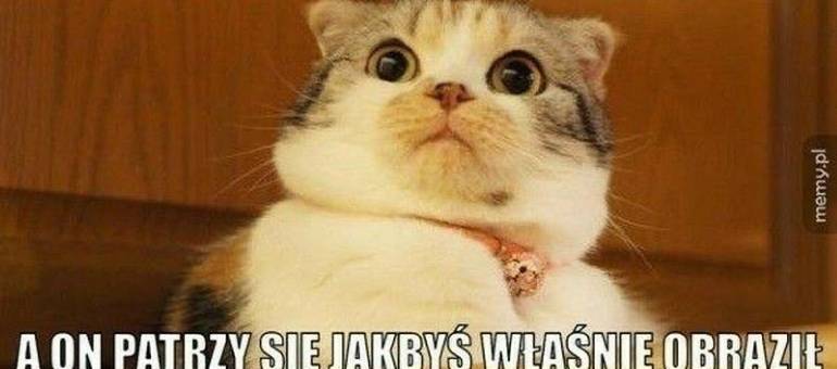 Zdjęcie artykułu z dnia 28-12-2025