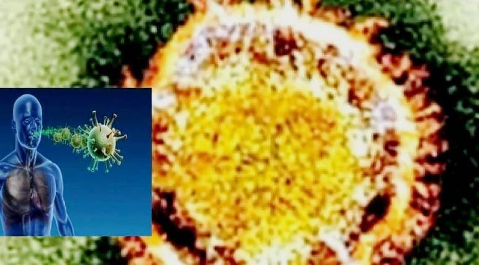 Koronavirus MERS źródło - http://www