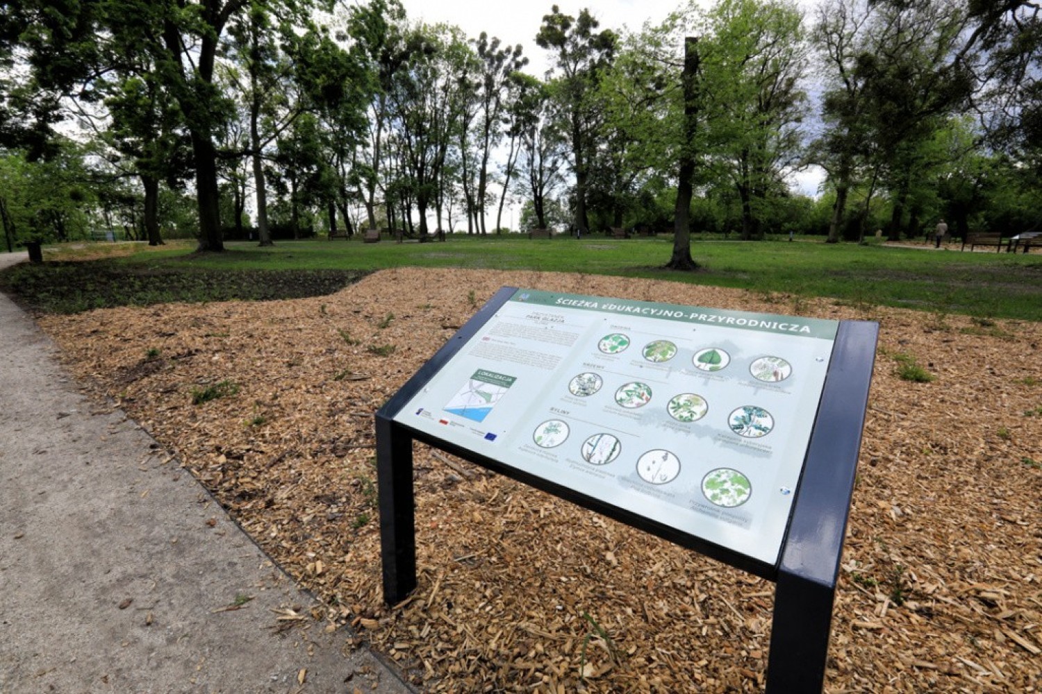 Zobacz, jak zmienił się Park Glazja w Toruniu. Oto najnowsze zdjęcia po rewitalizacji