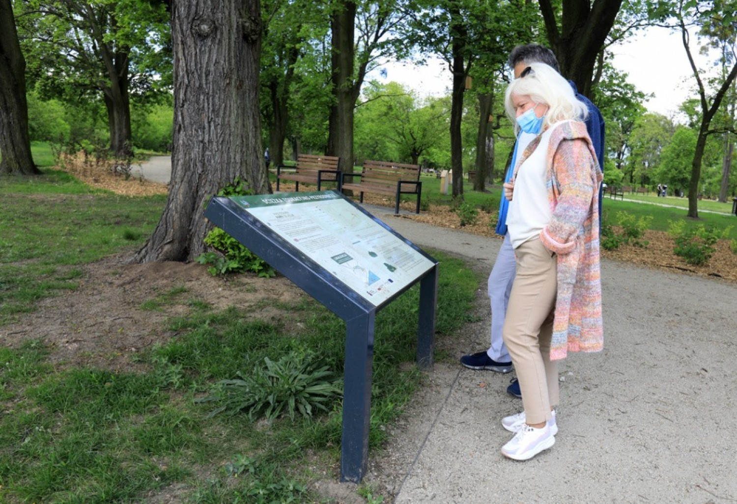 Zobacz, jak zmienił się Park Glazja w Toruniu. Oto najnowsze zdjęcia po rewitalizacji