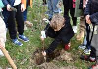Dzieci z powiatu olkuskiego posadziły drzewa owocowe