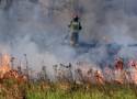Płoną trawy w Legnicy, rozpoczął się sezon na ich wypalanie, zobaczcie zdjęcia
