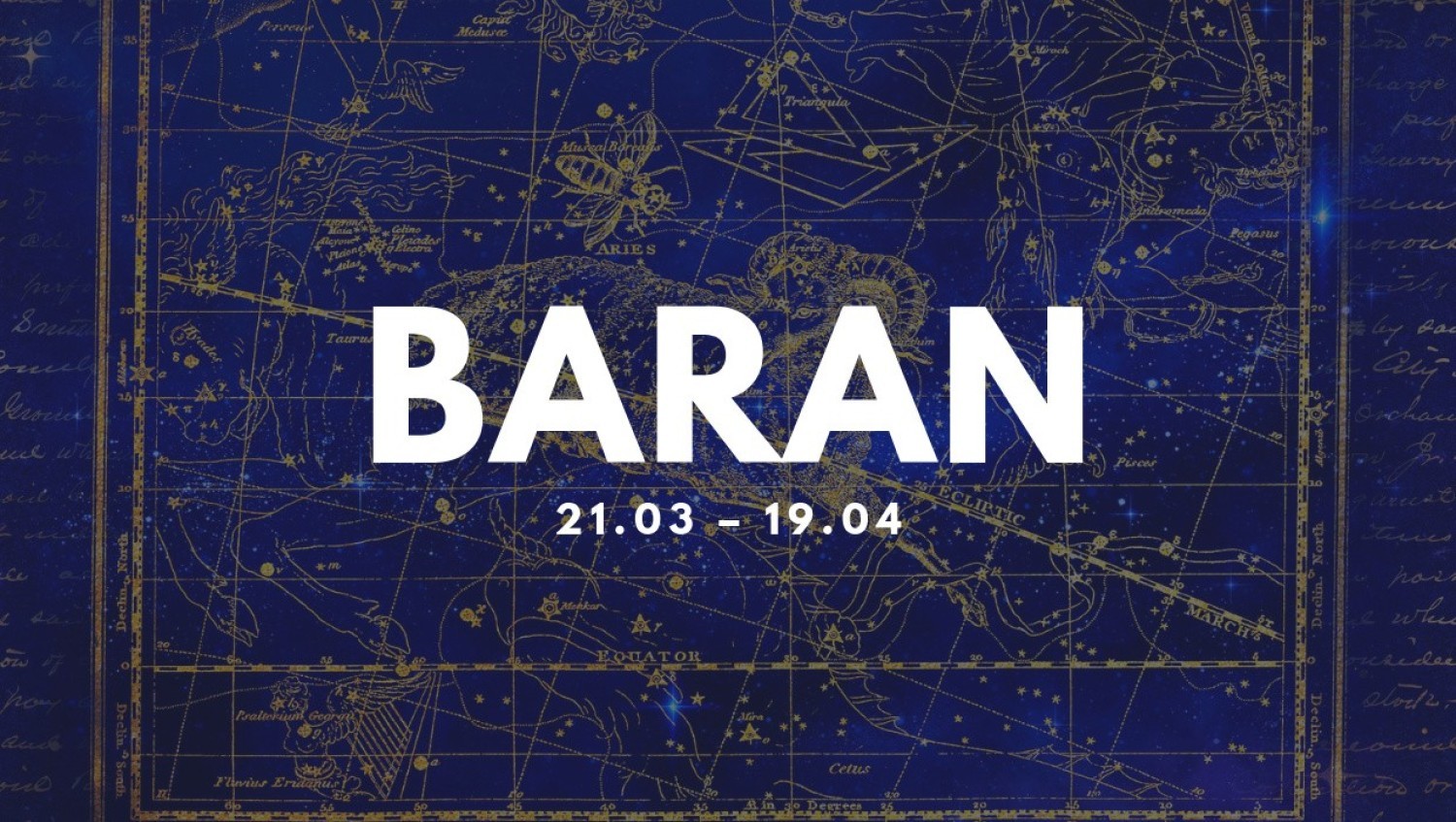 cechy charakteru:Barany są bezpośrednie i szczere