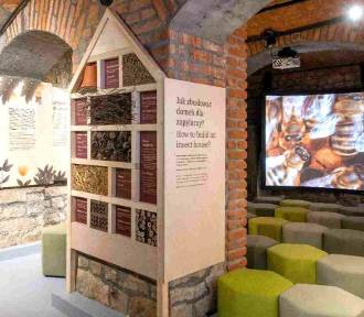 Muzeum Pszczelarskie Apilandia koło Wadowic zaskakuje nowymi atrakcjami!