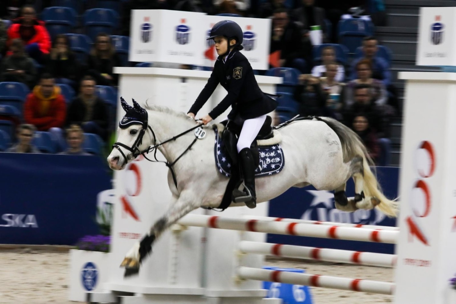 Cavaliada 2019