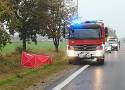 Wypadek na dk 12 na Mazowszu. Pasażer busa oceniał straty po zderzeniu z sarną. Został śmiertelnie potrącony przez kierowcę innego auta